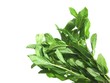la menthe