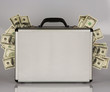 Dollar Bills
