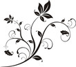plantas