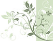 fondo nature