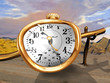 Melting Watch
