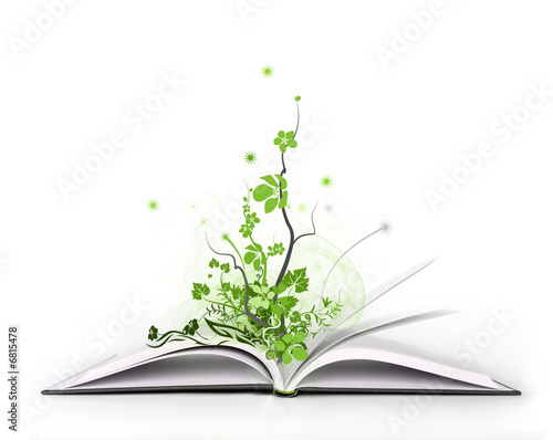 Illustration: magic book magic book