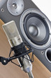 Microphone and speaker