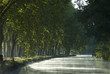 Canal du midi