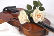 Stllleben mit Rosen und Violine