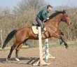 cheval jumping