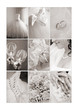 Wedding collage in sepia