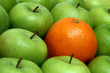 different concepts - orange between apples different concepts - orange between apples