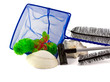Aquarium Care