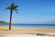 plage déserte