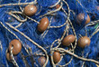 Fischernetze in Cefalu, Sizilien