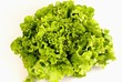 salade verte