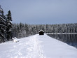 Wanderweg im Harz