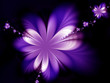 Beautiful flowers