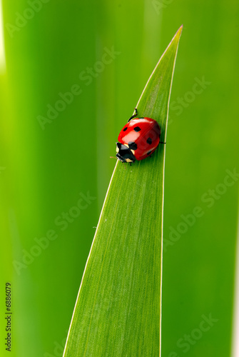 Photo: nature nature