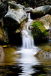 torrente 2