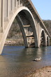 Arched Bridge