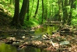 Mountain stream