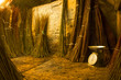 willow barn