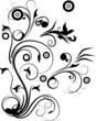 floral background