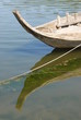 reflexo