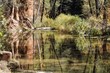 Oak Creek Pool I