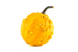 Pumpkin isolated on white background