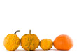 Pumpkins and mandarin isolated on white background