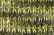 Knitting Texture Knitting Texture
