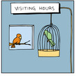 Visiting Hours