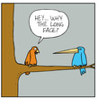 Long Face