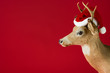 A reindeer wearing a santa hat A reindeer wearing a santa hat