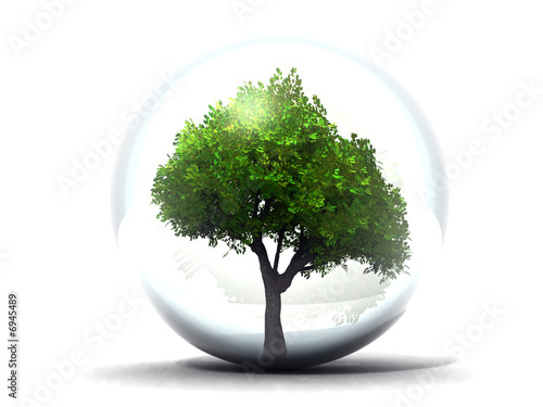 Illustration: arbre en bulle arbre en bulle