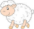 White Sheep