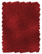 snake texture