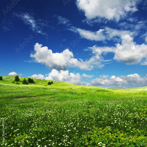 Photo: Field an clouds Field an clouds