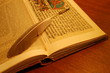Feather on a book