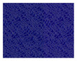 fond bleu