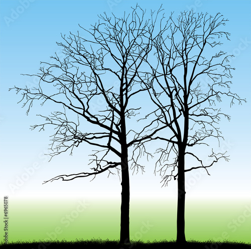 Ilustración: Paisaje con Arboles secos Paisaje con Arboles secos