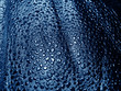 texture métallique bleutée