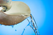 Seashell Water