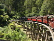 Puffing Billy railway
