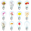 Twelve electric bulbs