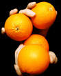 human hands holding orange