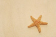 Strandgut