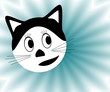 Katze