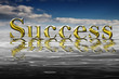 Marketing Success Marketing Success
