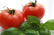 Tomatoes & Basil Leaves