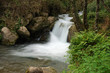 Parco Nazionale del Cilento - Morigerati Parco Nazionale del Cilento - Morigerati