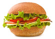 Ham & Swiss sandwich Ham & Swiss sandwich